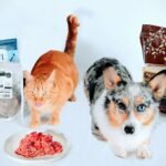 Raw Dog Food by MJ Petfoods: Fresh, Healthy, and Chemical-Free Options