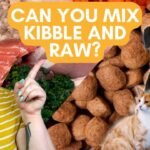 Optimal Nutrition: Combining Raw and Kibble for Your Puppy