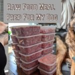 Fresh Dog Mince Delivered: Premium Raw Meat Diet for Dogs