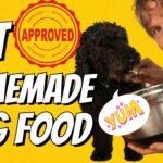 Boost Your Puppy's Health with Healthy Chicken Mince Recipe